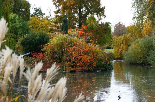 Londyńskie parki - Regents Park