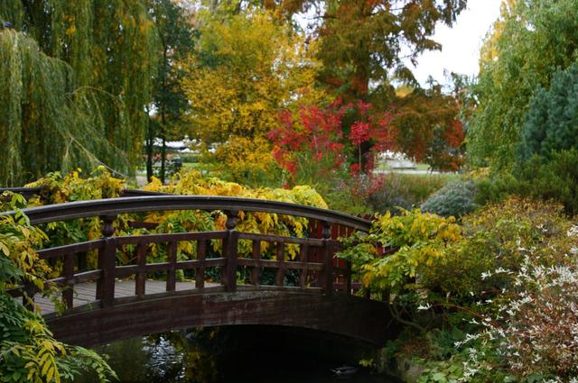 Londyńskie parki - Regents Park