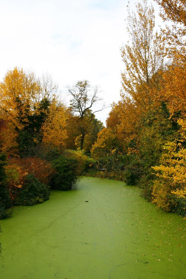Londyńskie parki - Regents Park