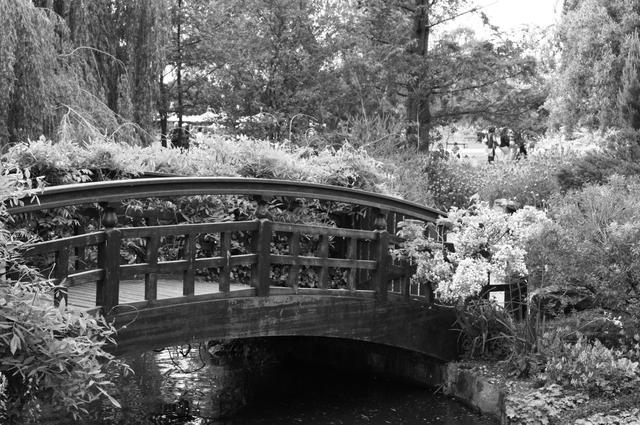 Londyńskie parki - Regents Park
