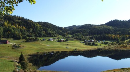 42489 - Norwegia