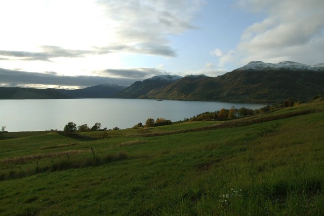 42550 - Norwegia