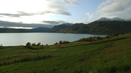 42550 - Norwegia
