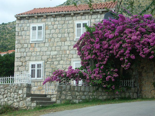 Trsteno