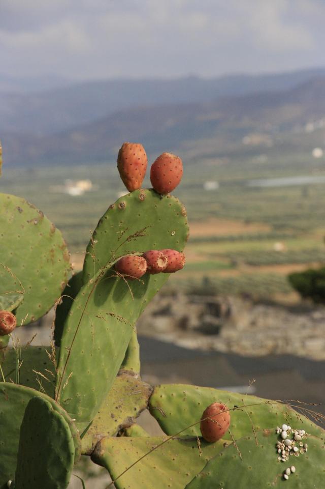 Faistos
