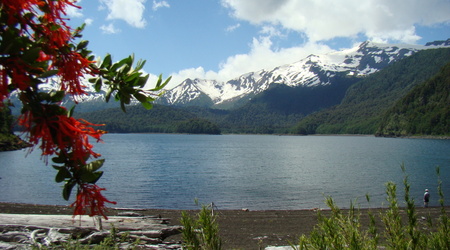 Laguna w P.N. Conguilio – Chile