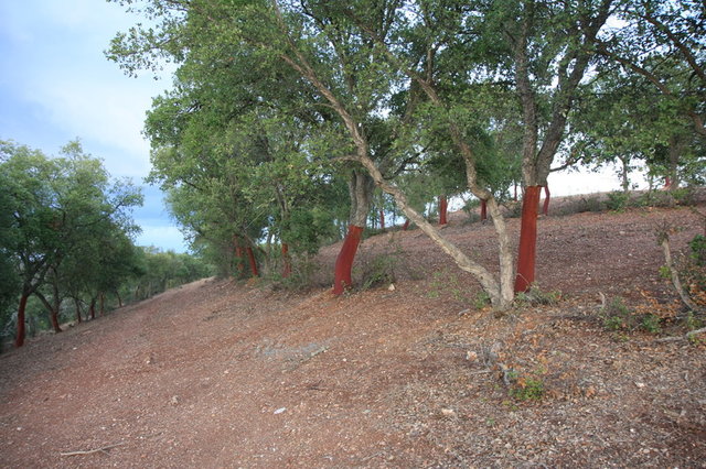 Img 5763