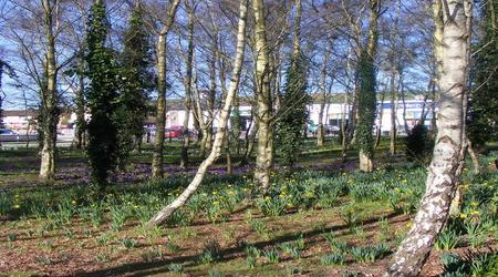 maly park w Ballincollig – Irlandia