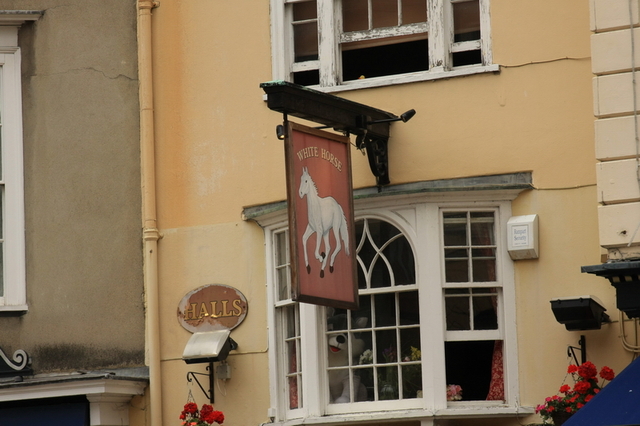 Img 1557