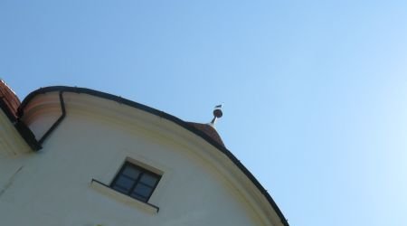 P1080701 – Hotel mokrice, Słowenia