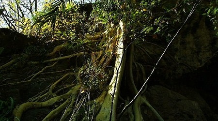 Grutas de Cacahuamilpa – Meksyk