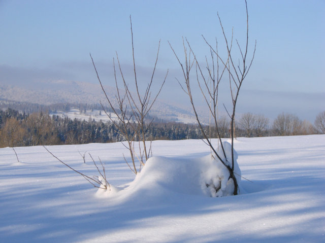 Bieszczady