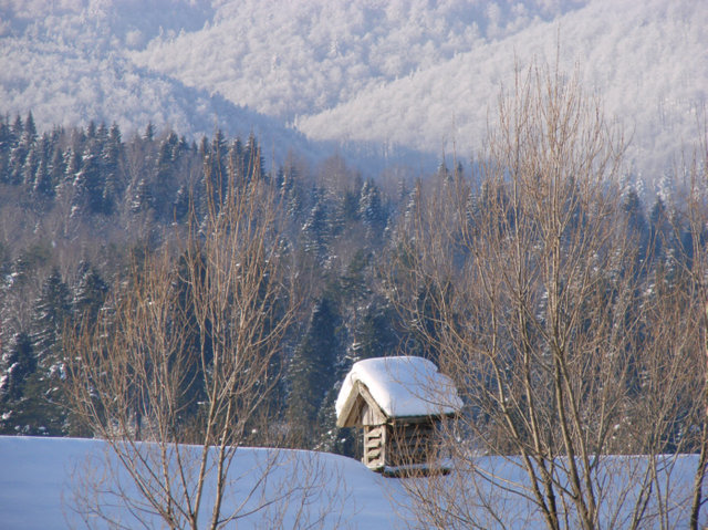Bieszczady