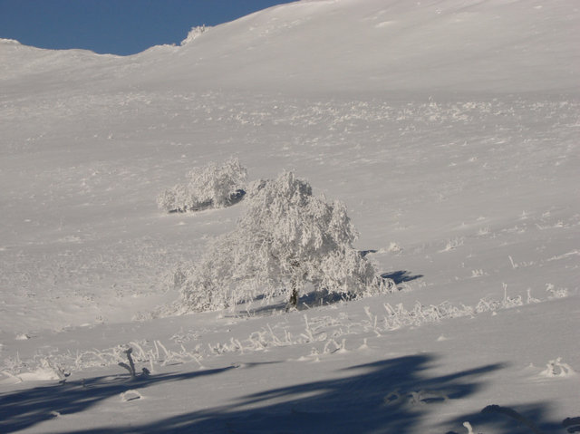 Bieszczady