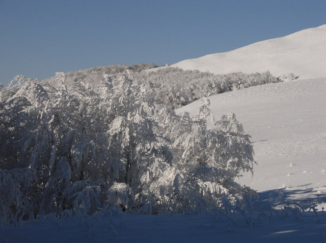 Bieszczady