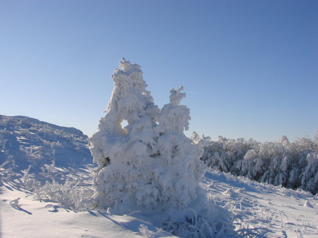 Bieszczady