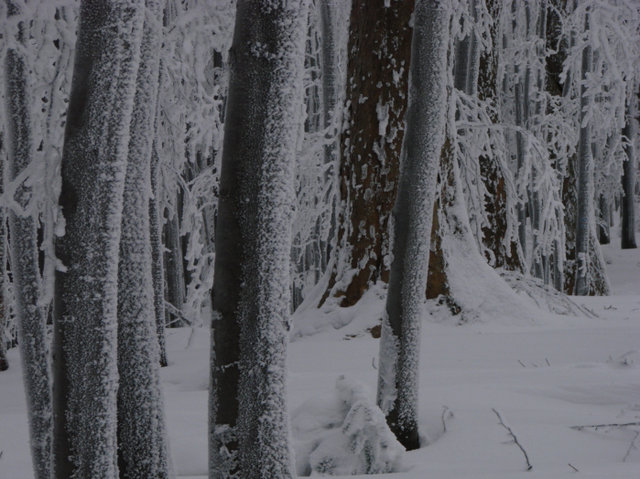 Bieszczady