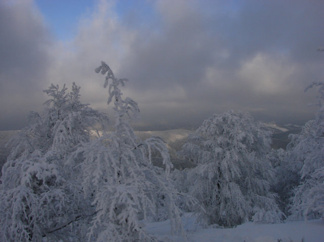 Bieszczady