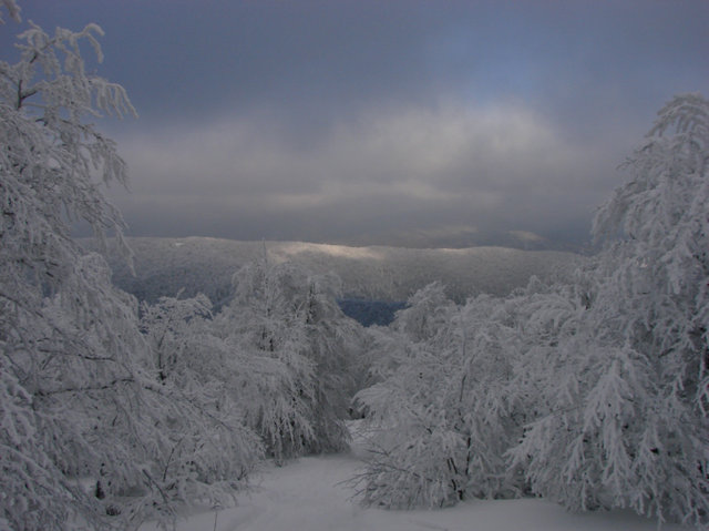 Bieszczady