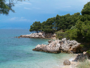 Podgora