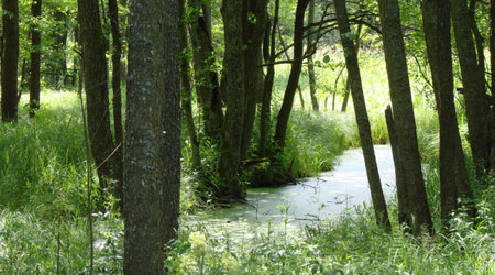 Wigierski Park Narodowy – Polska