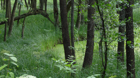 Wigierski Park Narodowy – Polska
