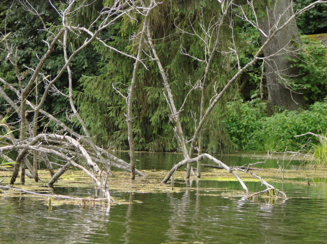 Wigierski Park Narodowy