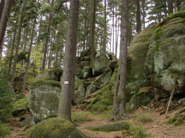 Park Narodowy Gór Stołowych