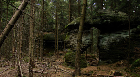 Park Narodowy Gór Stołowych – Polska