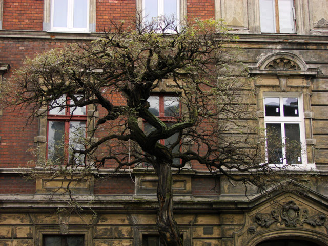 Bydgoszcz
