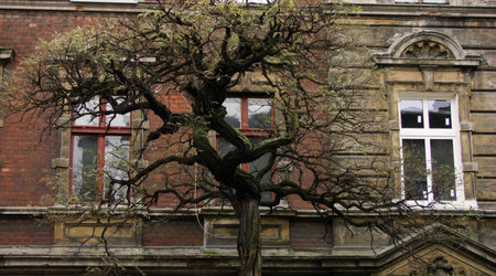 Bydgoszcz – Polska