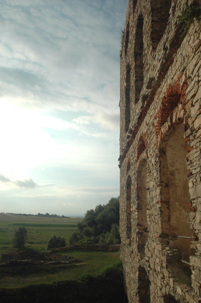 Dsc 3009
