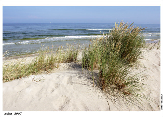 Łeba - plaża