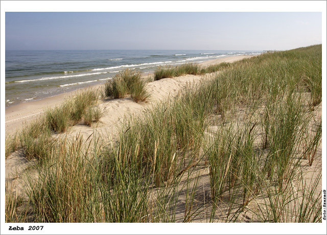 Łeba - plaża