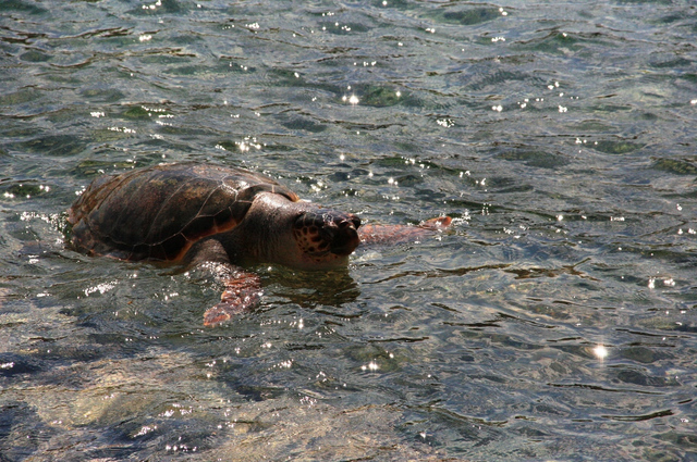 Kreta, Spinalonga