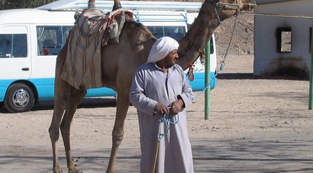 48688 - Luxor Qena Dolina Krolow swiatynia Hatszepsut Luxor – Egipt