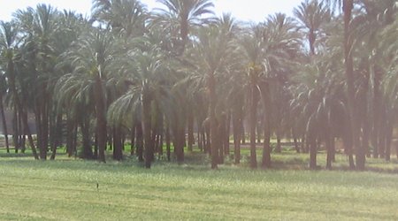 48693 - Luxor Qena Dolina Krolow swiatynia Hatszepsut Luxor – Egipt