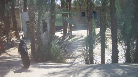 48701 - Luxor Qena Dolina Krolow swiatynia Hatszepsut Luxor – Egipt
