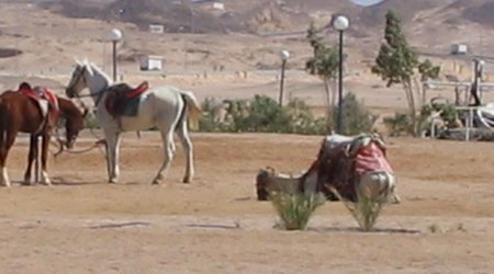 48868 - Hurghada Plazowanie i zwiedzanie okolic – Egipt