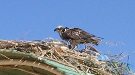 48875 - Hurghada Plazowanie i zwiedzanie okolic – Egipt