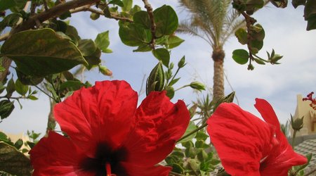 Hurghada – Egipt