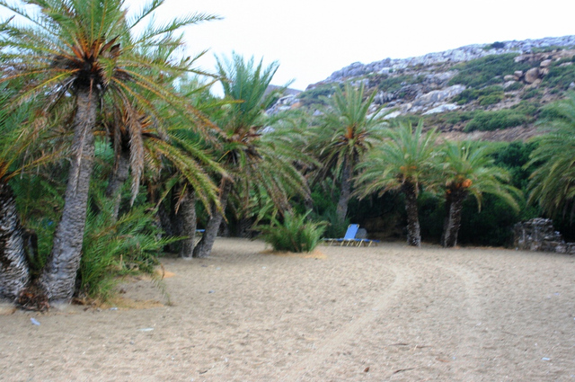 Kreta, Vai