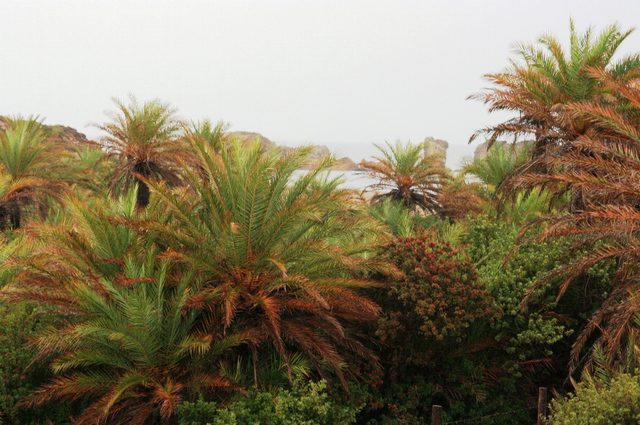 Kreta, Vai