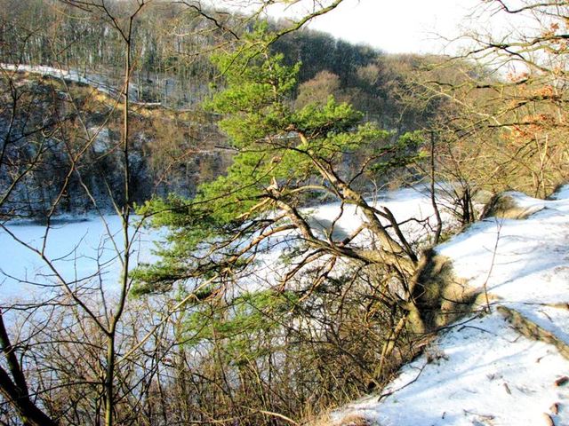 Szmaragd
