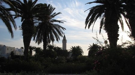 49315 - Monastir Wycieczka do Monastiru – Tunezja