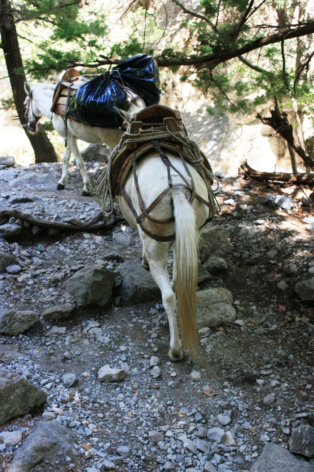 Kreta, Wąwóz Samaria