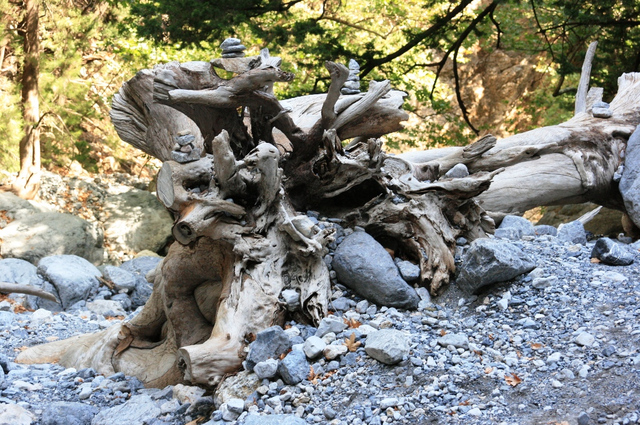 Kreta, Wąwóz Samaria