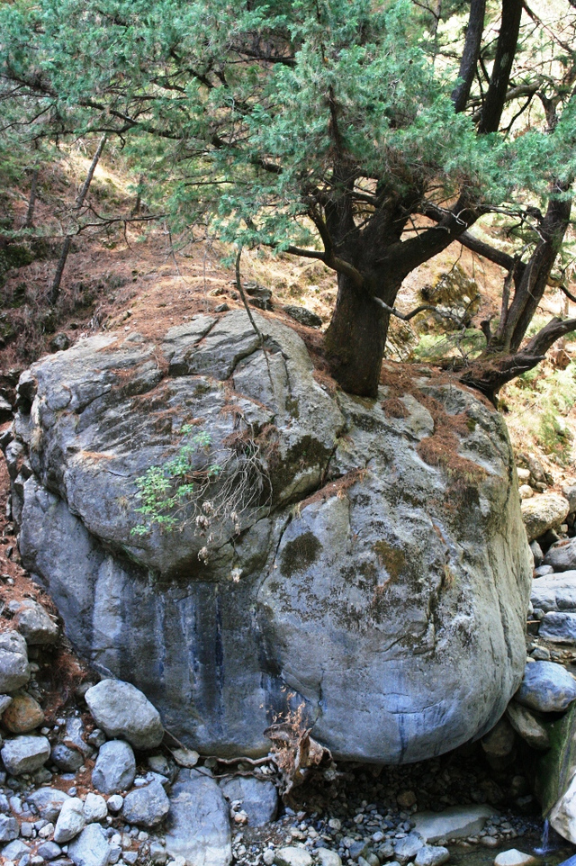 Kreta, Wąwóz Samaria