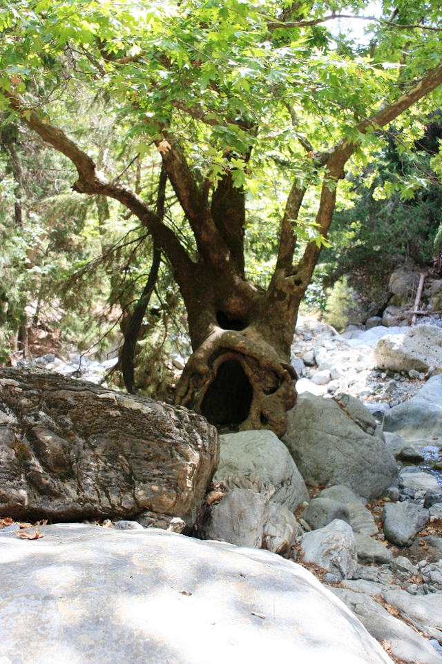 Kreta, Wąwóz Samaria