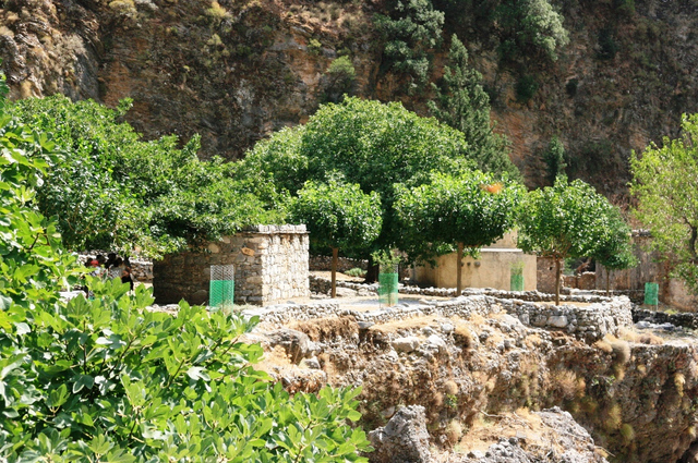 Kreta, Wąwóz Samaria